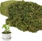 Large Capacity Artificial Moss for Potted Plants,Natural Artificial Moss Grass for Fake Plants Indoor,Craft Moss and Greenery Bulk,Forest Moss for Hamsters